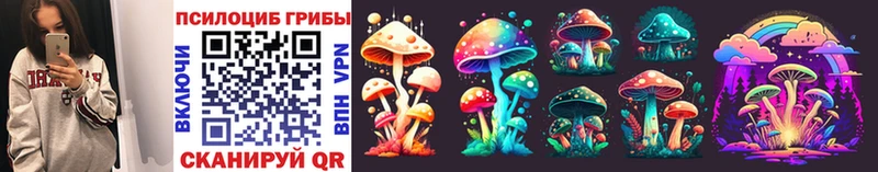 Псилоцибиновые грибы Cubensis  Клин 